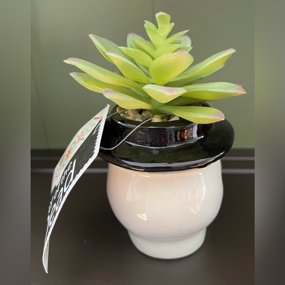 Sugar Skull Faux Succulent 5” Ceramic Planter Valentine's Day Black Green NWT - Picture 3 of 5